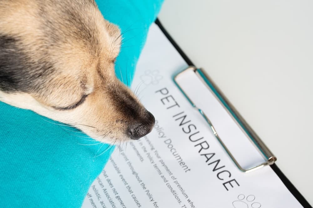 Pet Insurance in the U.S.: A Practical May 2026 Guide to Coverage, Prices, Pet Types, and Age-Based Comparison