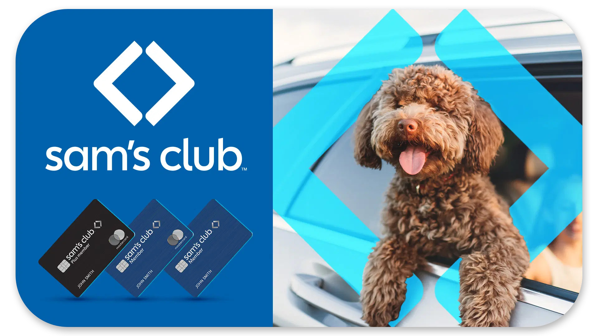 Sam’s Club Pet Insurance: A Practical Guide to a New Member Perk for Your Pets