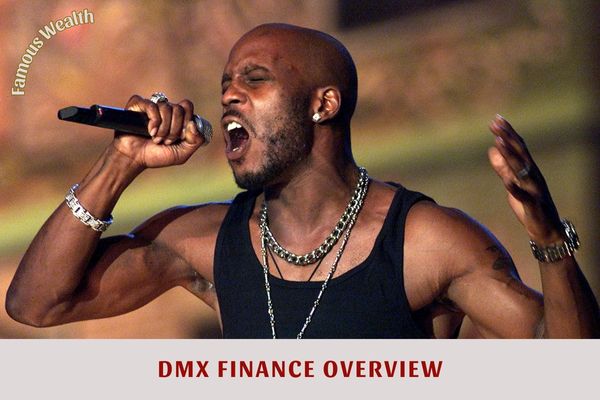 DMX Finance Overview