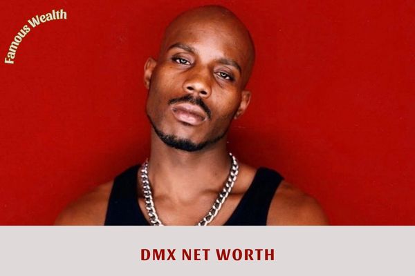 DMX Net Worth