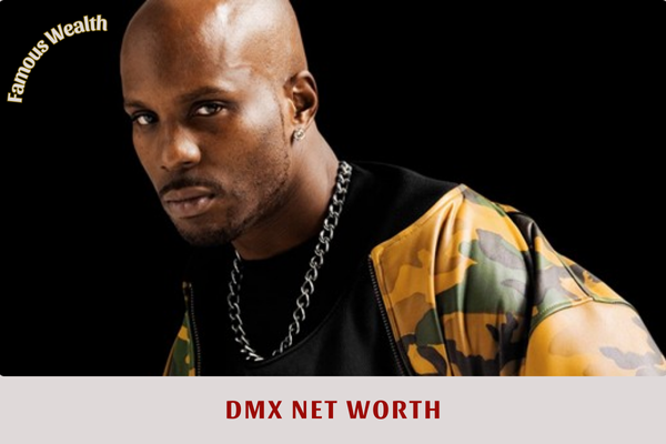 DMX Net Worth